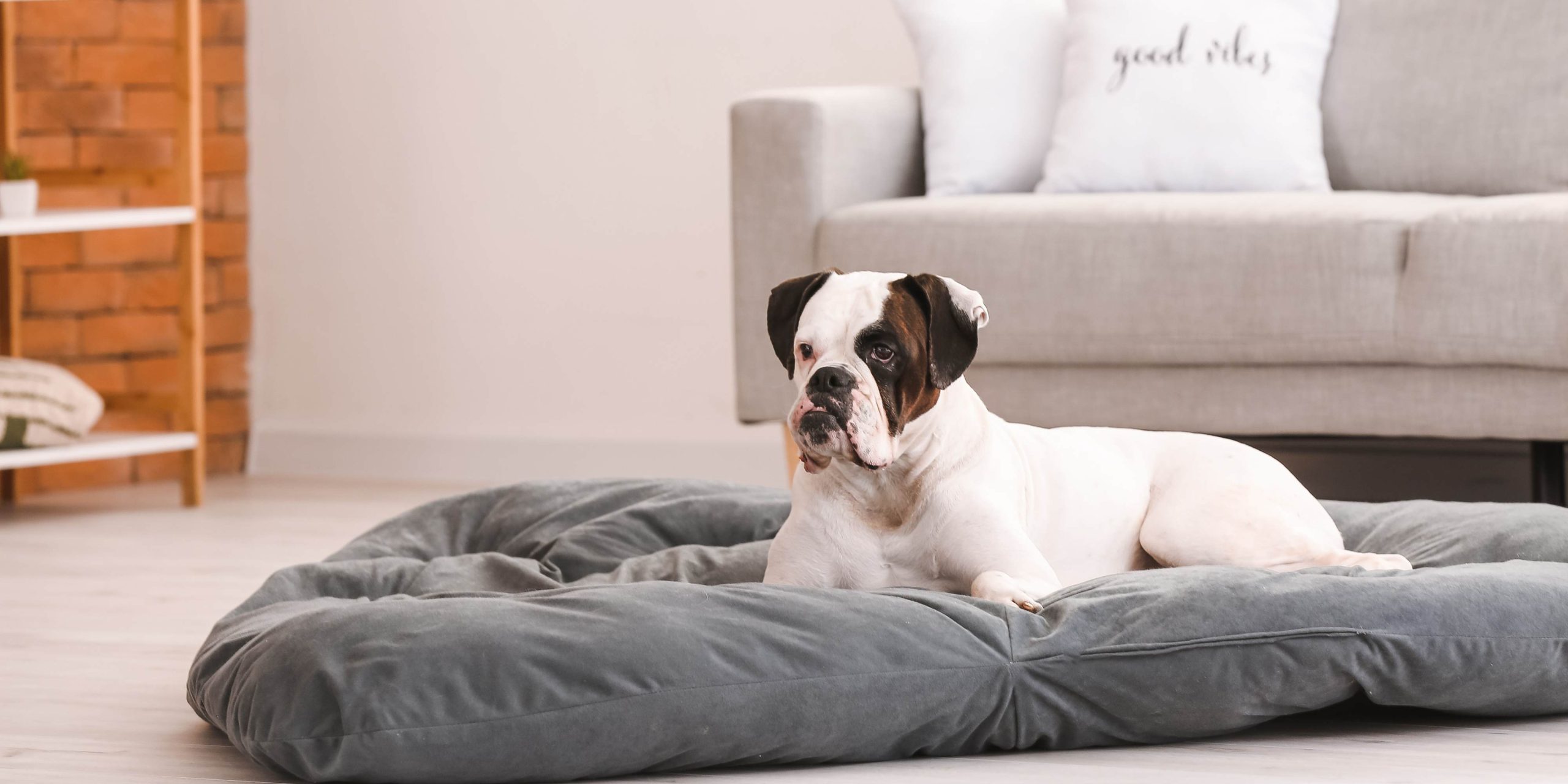 5 Reasons Your Property Is Not Letting