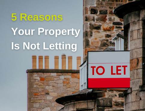 5 Reasons Your Property Is Not Letting