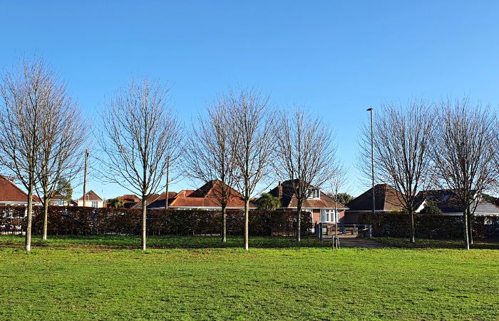 Oakdale
