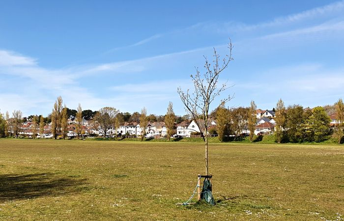 Parkstone