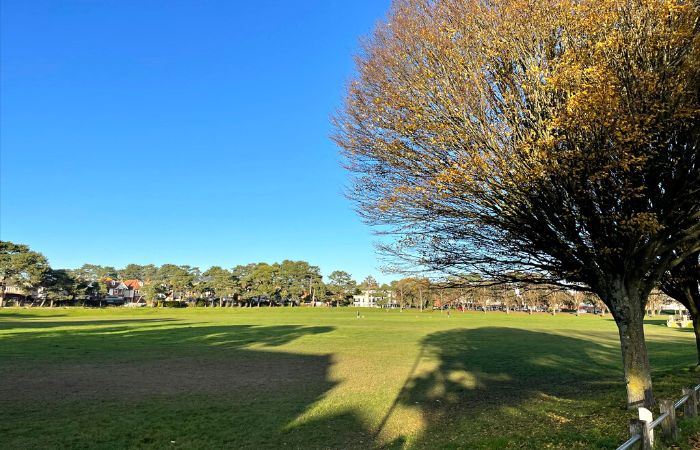 Kings Park
