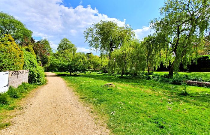 Coy Pond