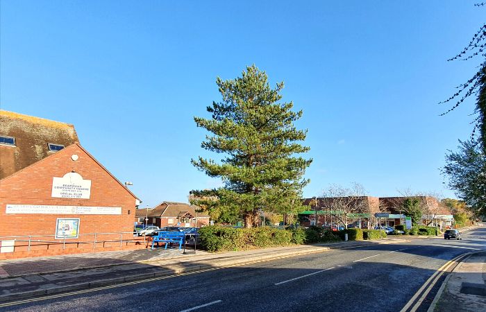 Bearwood