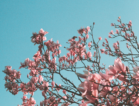 Your Ultimate Guide To Spring Cleaning