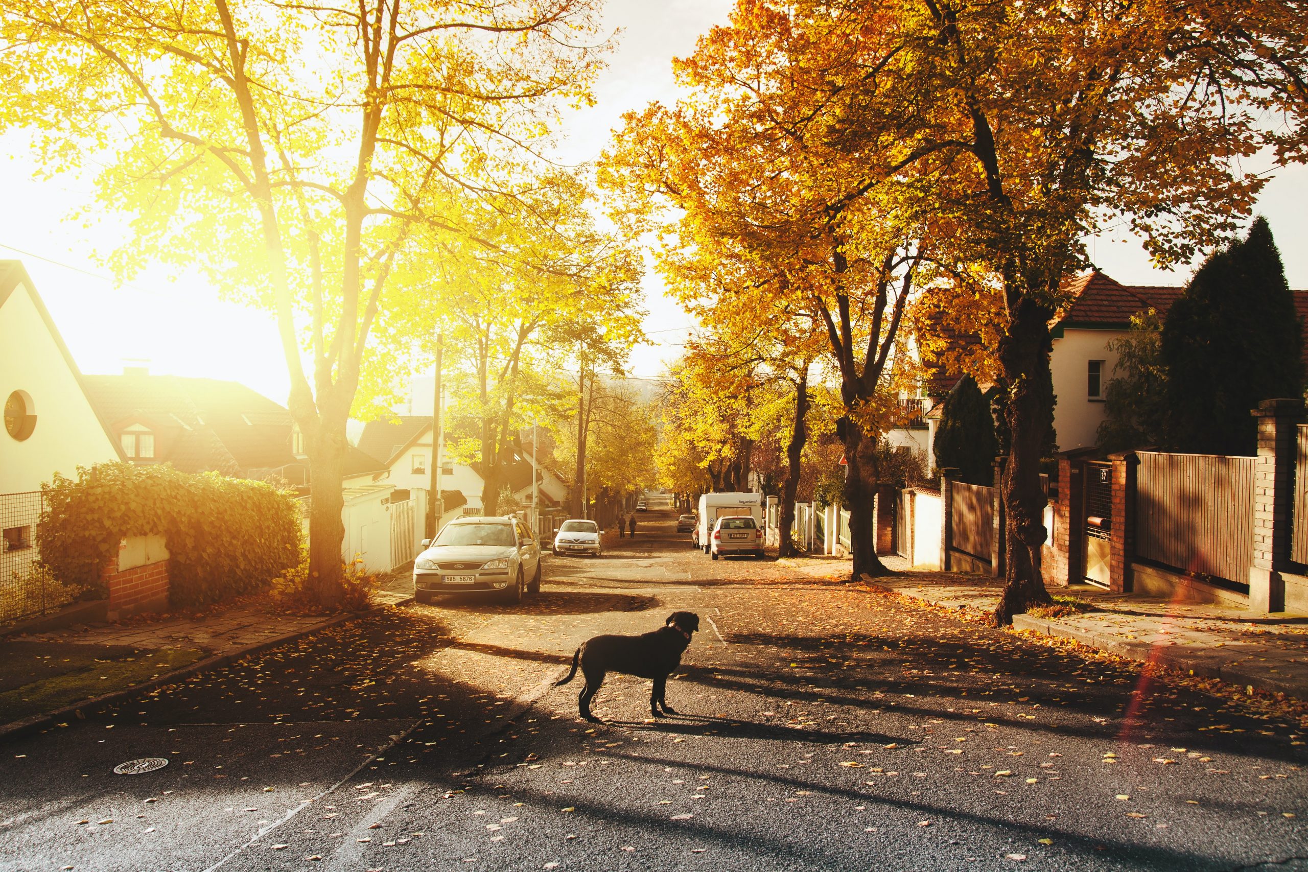 Tips For House Hunting